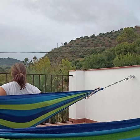 Apartamento Casa Con Vistas Al Campo Y Cocina Con Terraza Villanueva de San Juan Exteriér fotografie